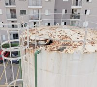 IMG-20241017-WA0169 IMG-20241017-WA0169