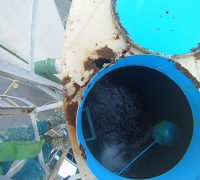 IMG-20241017-WA0175 IMG-20241017-WA0175